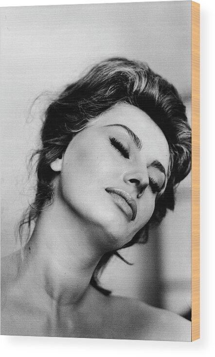 Sophia Loren Wood Print featuring the photograph Sophia Loren #15 by Alfred Eisenstaedt