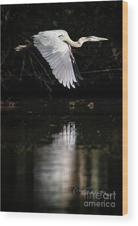 Farmingtion River Wood Print featuring the photograph Blue Ballet #2 by Tom Cameron