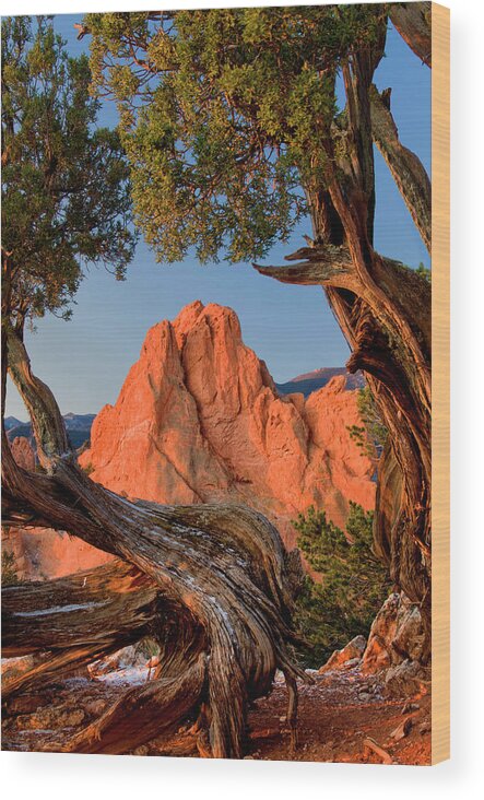Tranquility Wood Print featuring the photograph Garden Of The Gods, Colorado Springs, Co #2 by Russell Burden