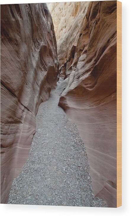 Canyon Wood Print featuring the photograph Little Wildhorse Canyon #2 by William Mullins