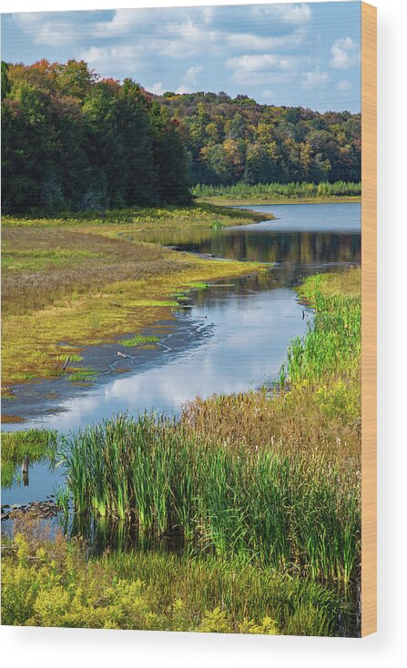 Allegheny Plateau Wood Print featuring the photograph Lower Woods Pond by Michael Gadomski