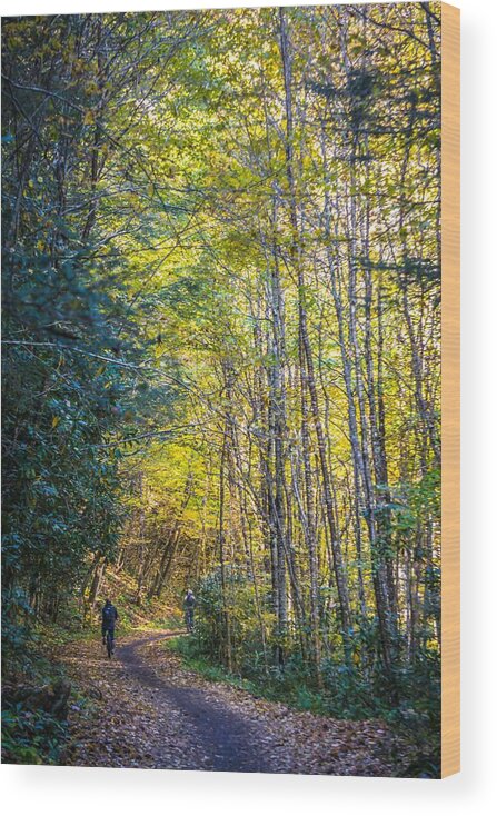 Mountain Bike Wood Print featuring the photograph Views Along Virginia Creeper Trail During Autumn #20 by Alex Grichenko