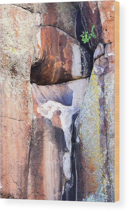 Brown Wood Print featuring the photograph Penitente Rocks 20170522-155 Rowan Lyford by Rowan Lyford