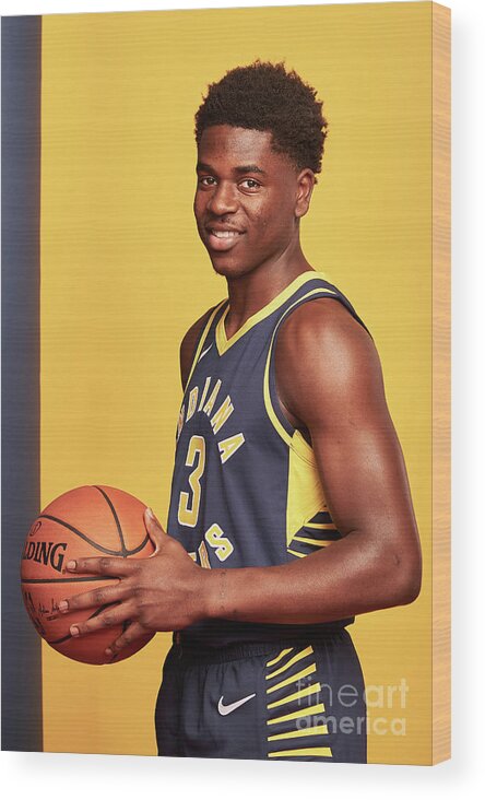 Aaron Holiday Wood Print featuring the photograph 2018 Nba Rookie Photo Shoot by Jennifer Pottheiser