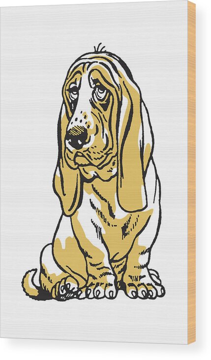 Animal Wood Print featuring the drawing Basset Hound #3 by CSA Images