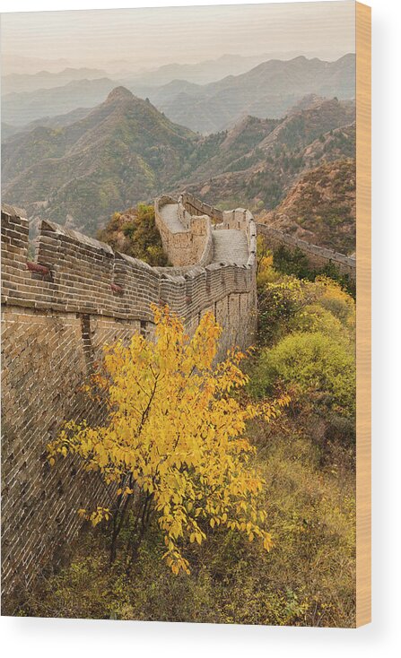 Adam Jones Wood Print featuring the photograph Great Wall Of China And Jinshanling #3 by Adam Jones