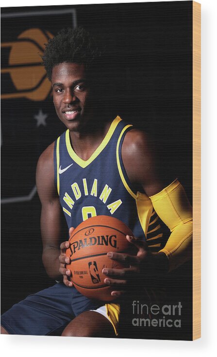 Media Day Wood Print featuring the photograph 2018-19 Indiana Pacers Media Day by Ron Hoskins