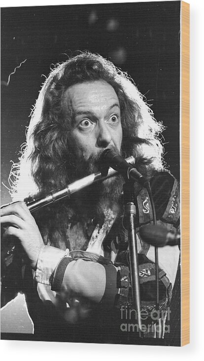 Ian Anderson Wood Print featuring the photograph Ian Anderson #5 by Marc Bittan