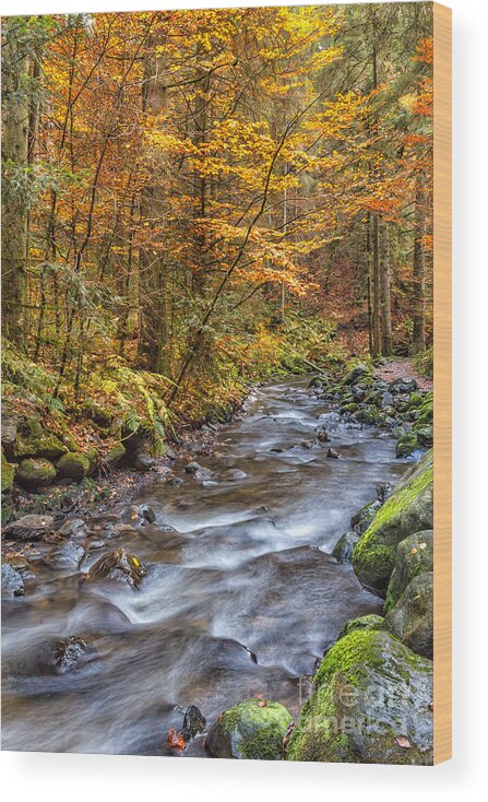 Ravenna-gorge Wood Print featuring the photograph Cascades And Waterfalls #5 by Bernd Laeschke