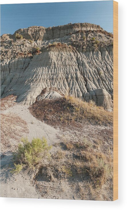 Tranquility Wood Print featuring the photograph Dinosaur Provincial Park, Badlands #8 by John Elk Iii