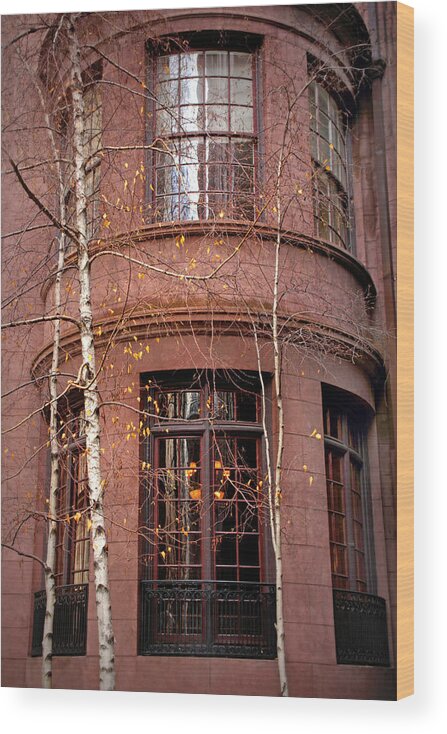 Building Wood Print featuring the photograph Brownstone and Birch by Jessica Jenney