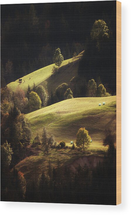 Landscape Wood Print featuring the photograph A Farmers Land by Jan Zajc