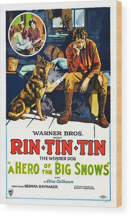 Rin Tin Tin Wood Print featuring the drawing A Hero of the Big Snows by Warner Brothers