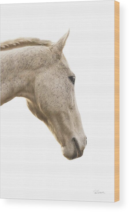 A Horse Named Lady Wood Print featuring the photograph A Horse Named Lady I by Sue Schlabach