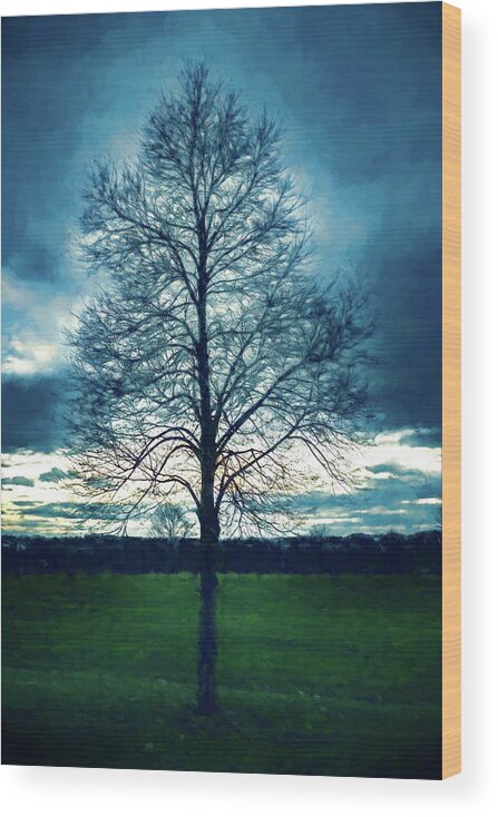 Tree Wood Print featuring the digital art A Lone Tree in Winter by Jason Fink