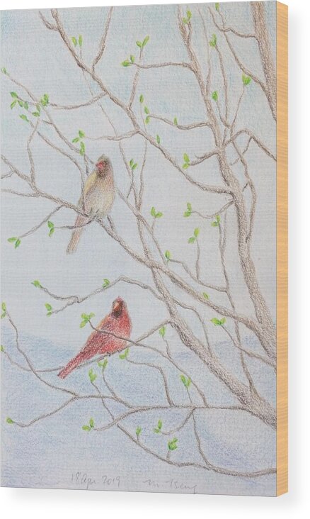 Framed Prints Wood Print featuring the drawing A pair of cardinals on magnolia tree by Milly Tseng
