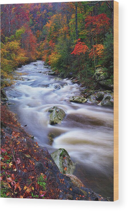 Great Smoky Mountains National Park Wood Print featuring the photograph A River Runs Through Autumn by Greg Norrell
