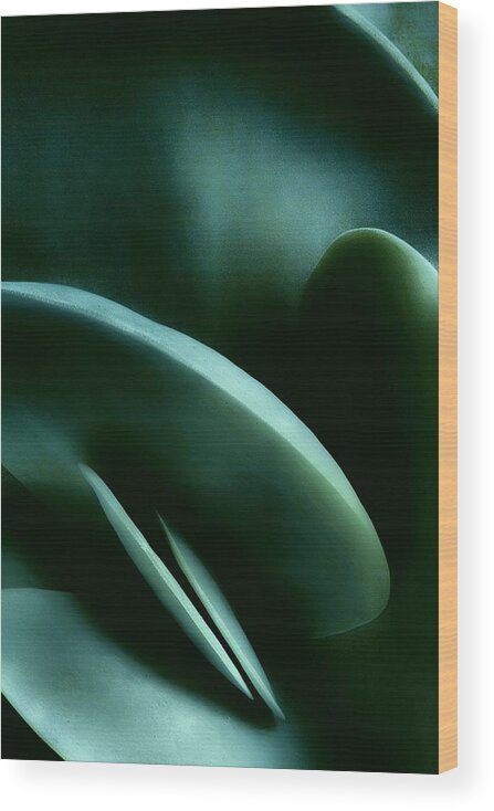Plant Wood Print featuring the photograph Abstract In Green by Mark Fuller