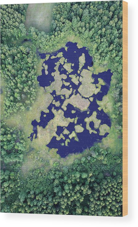 Fen Wood Print featuring the photograph Aerial Photo Of A Swamp. Spring by Dariuszpa