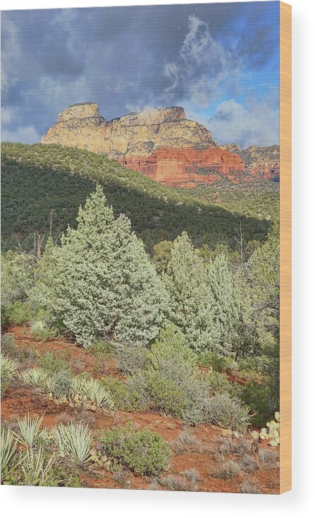 Sedona Wood Print featuring the photograph After a Storm by Theo O'Connor