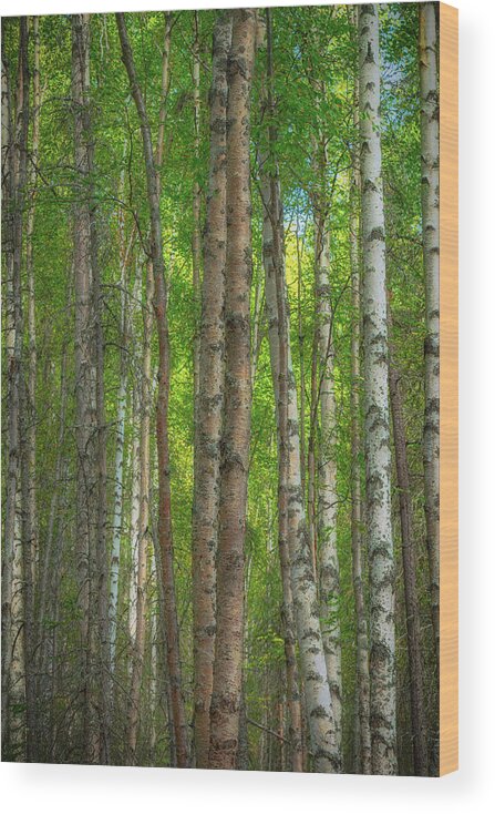 Forest Wood Print featuring the photograph Alaska Idyll by Jade Moon