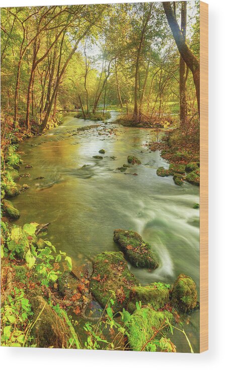Ozarks Wood Print featuring the photograph Alley Spring Branch by Robert Charity