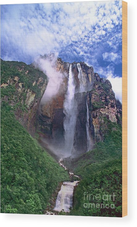Dave Welling Wood Print featuring the photograph Angel Falls And Ayuan Tepui Canaima National Park Venezuela by Dave Welling