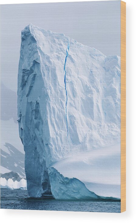 Iceberg Wood Print featuring the photograph Antarctica, Antarctic Peninsula by Paul Souders