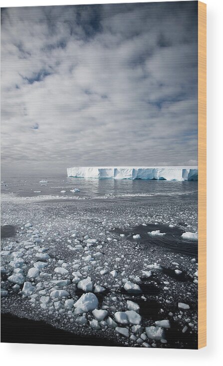 Disbelief Wood Print featuring the photograph Antarctica Impression by Mlenny