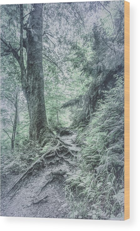 Appalachia Wood Print featuring the photograph Appalachian Trail in Cool Gray Tones by Debra and Dave Vanderlaan