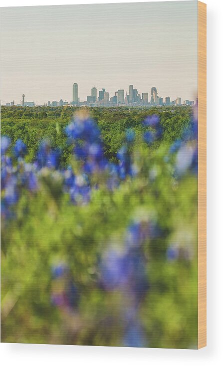 Dallas Wood Print featuring the photograph April in Dallas by Peter Hull