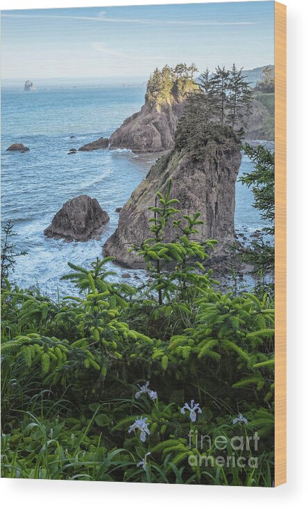 Arch Rock Roadside Viewpoint Wood Print featuring the photograph Arch Rock Sea Stacks by Al Andersen