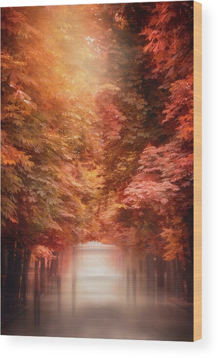 Madrid Wood Print featuring the photograph Autumn Stroll Retiro Park Madrid by Carol Japp