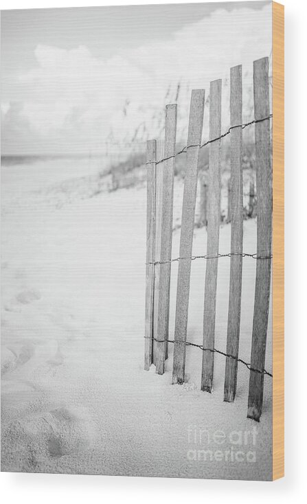 America Wood Print featuring the photograph Beach Fence in Pensacola Florida Black and White Photo by Paul Velgos