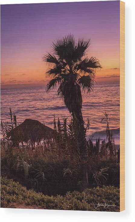 Beach Wood Print featuring the photograph Beach Last Light by Aaron Burrows