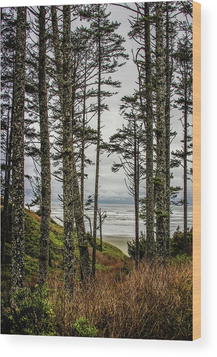 Trees Wood Print featuring the photograph Beach Trees by Jerry Cahill