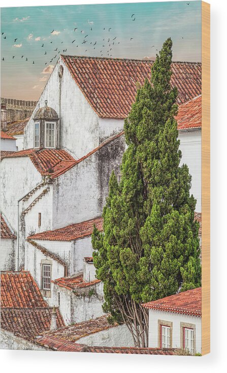 Castle Wood Print featuring the photograph Birds Over Obidos by David Letts
