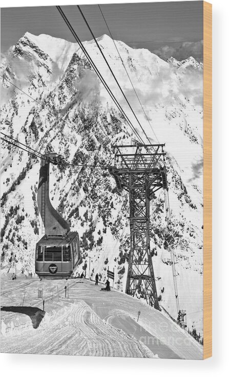Snowbird Wood Print featuring the photograph Blie Snowbird Tram Car Portrait Black And White by Adam Jewell
