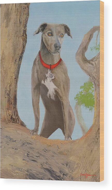 Dog Wood Print featuring the painting Blue Lacy Official State Dog of Texas by Daniel Adams
