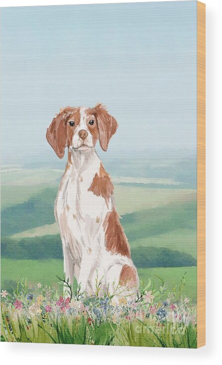 Dog Wood Print featuring the painting Brittany Spaniel by John Edwards