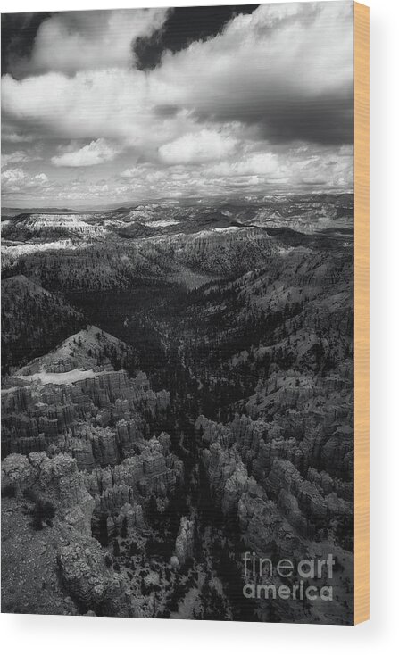 B&w Wood Print featuring the photograph Bryce Canyon BnW by Izet Kapetanovic