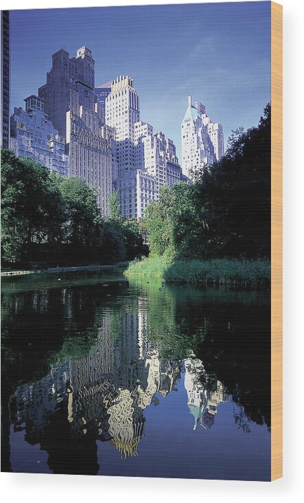 Central Park Wood Print featuring the photograph Central Park, New York City, New York by Peter Adams