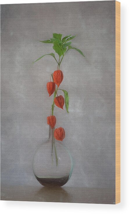 Chinese Wood Print featuring the photograph Chinese Lantern by Lydia Jacobs