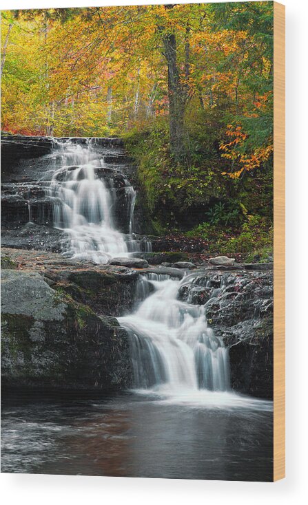 Allegheny Wood Print featuring the photograph Choke Creek Falls by Michael Gadomski