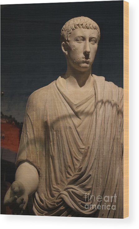 Marble Statue Wood Print featuring the photograph Closeup of Marble Statue of Man Pompeii Exhibit 2 by Colleen Cornelius