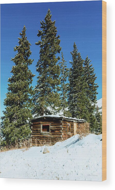 Colorado Wood Print featuring the photograph Colorado Mountain Small Log Cabin by Aloha Art