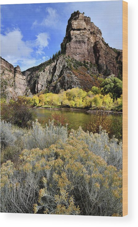  Wood Print featuring the photograph Colorado River Aspens in Color by Ray Mathis