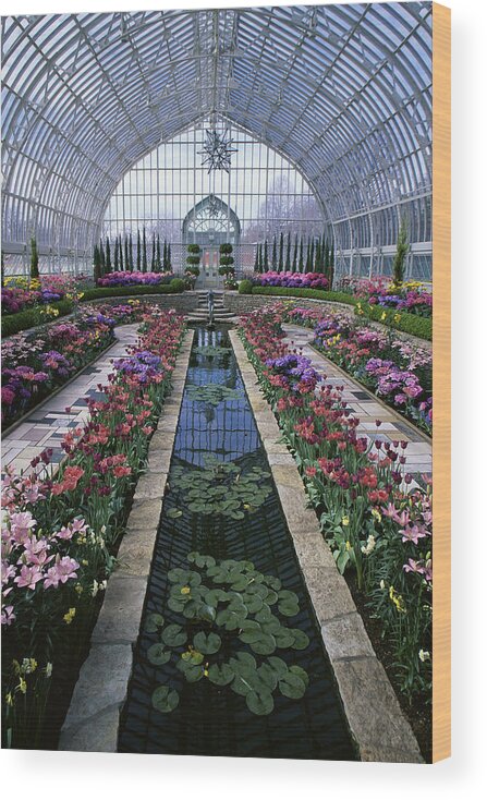 America Wood Print featuring the photograph Como Park Conservatory, St. Paul by Artist - Unknown