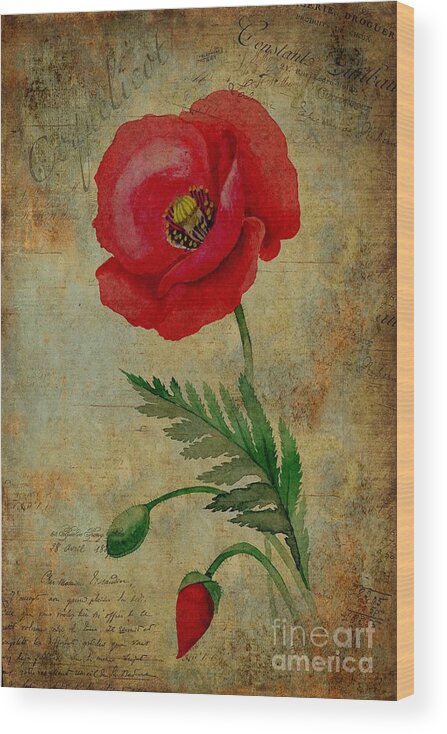 Flower Wood Print featuring the painting Coquelicot by John Edwards