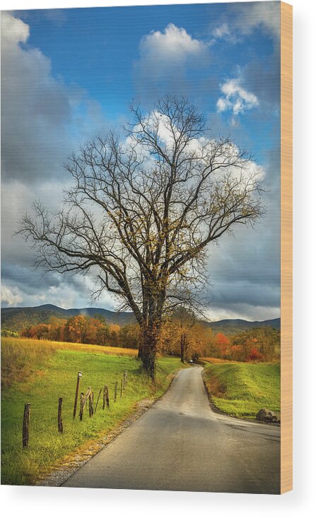 Appalachia Wood Print featuring the photograph Country Road into Autumn by Debra and Dave Vanderlaan